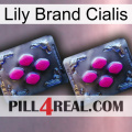 Lily Brand Cialis 01